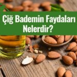 cig bademin faydalari