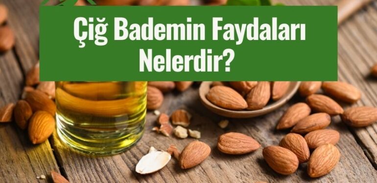 cig bademin faydalari